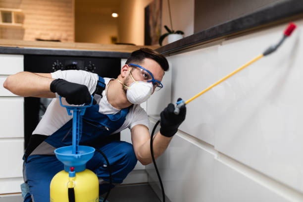 Best Best Pest Control Companies  in Osprey, FL