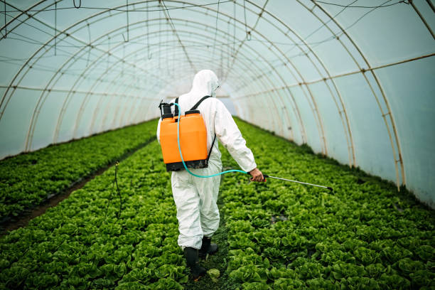 Best Mosquito Control Services  in Osprey, FL