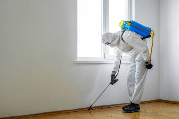 Professional Pest Control in Osprey, FL