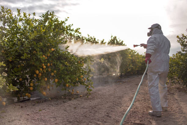 Best Flea Control Services  in Osprey, FL