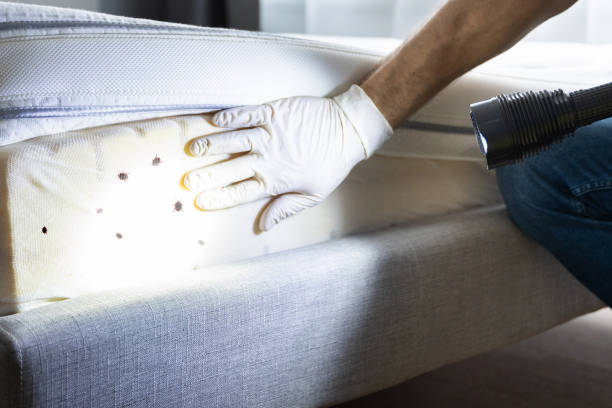 Best Wildlife Control Services  in Osprey, FL